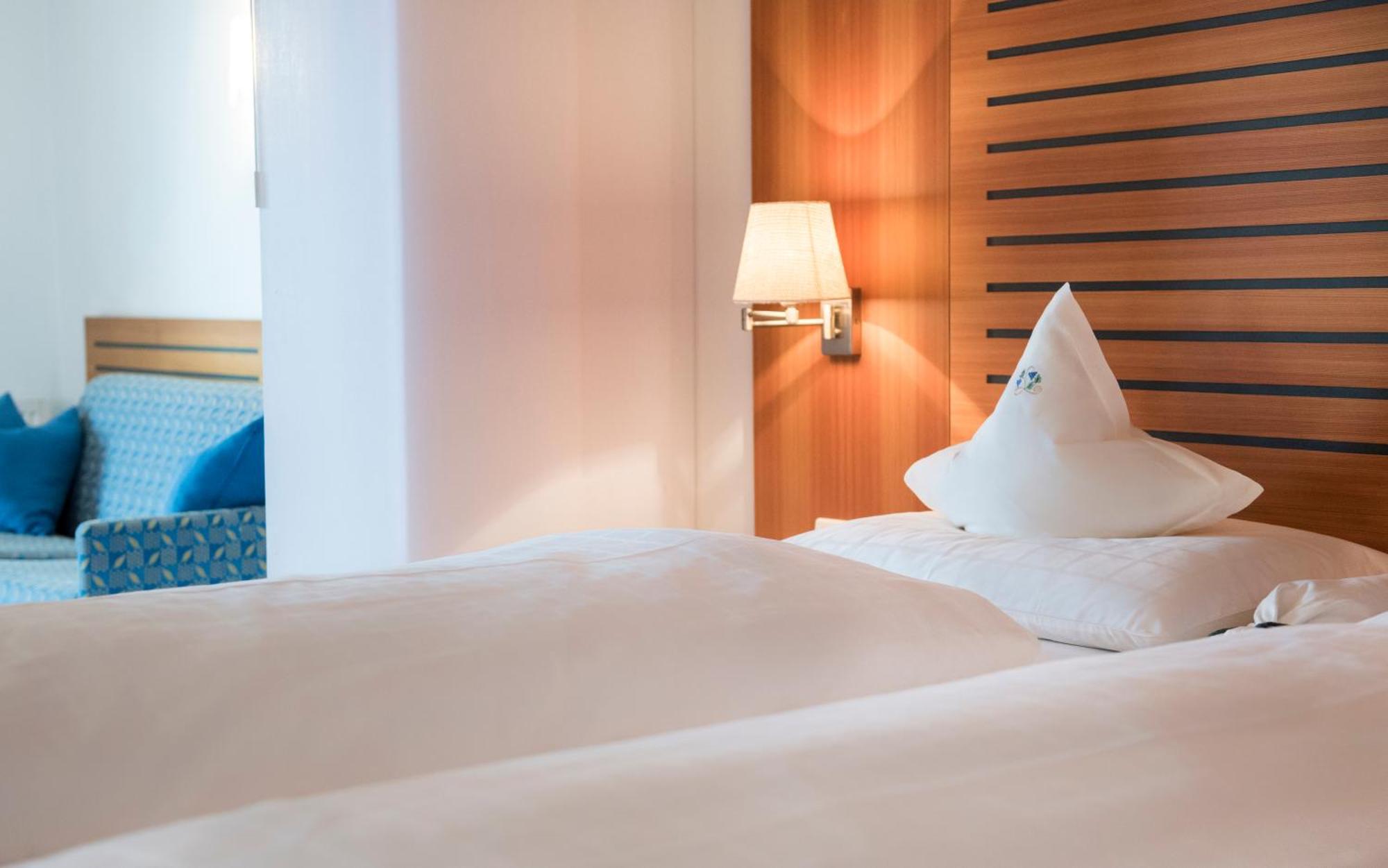 Hotel Lagrein Schenna Ruang foto